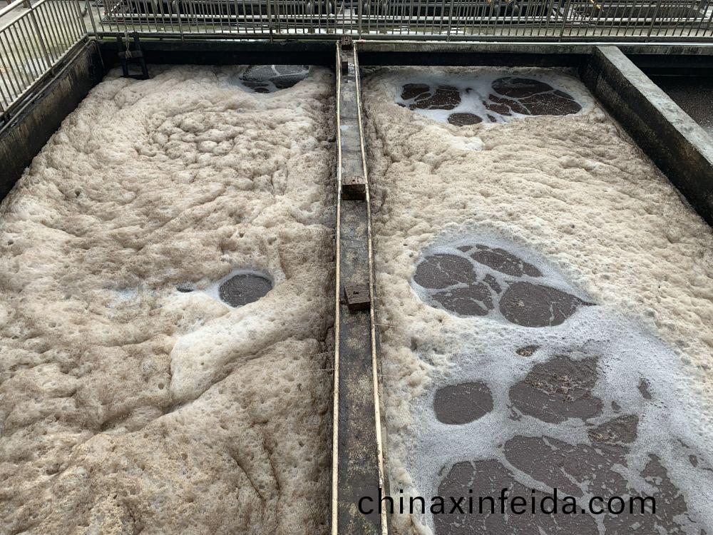 某(mou)某屠宰場項目——500t屠(tu)宰廢水處(chu)理係統